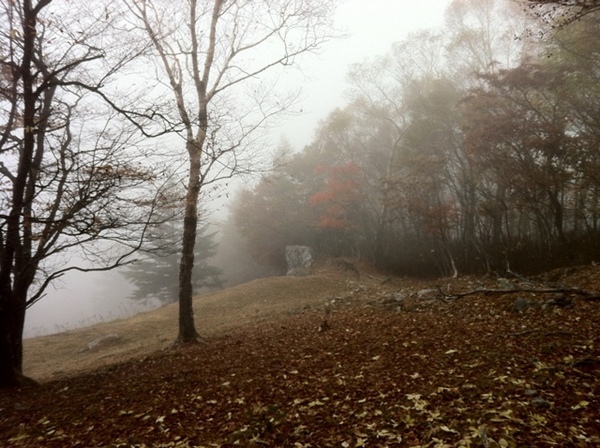霧の中２.jpg