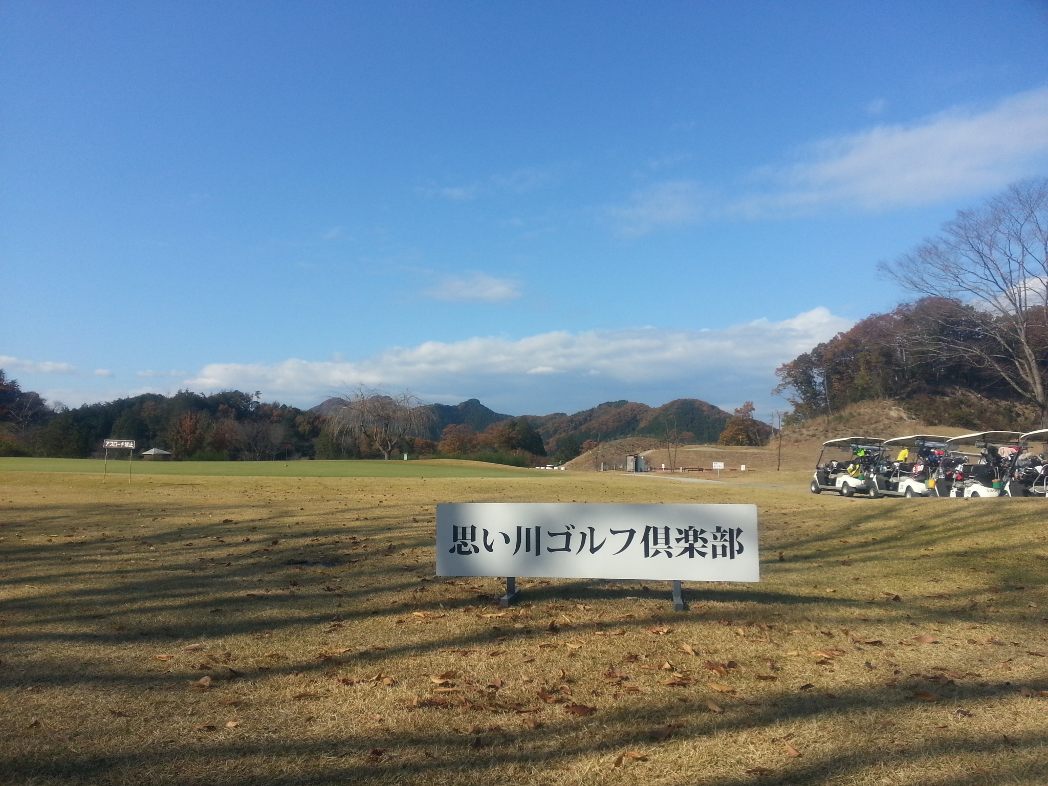 http://www.washin-optical.co.jp/blog/kenchodori/20141123_113004.jpg