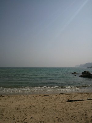 海DSC_2014.JPG