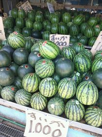 IMG_スイカ直売.jpg