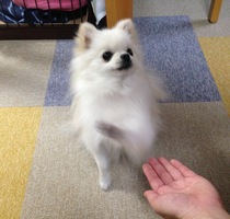 2.jpgのサムネール画像のサムネール画像