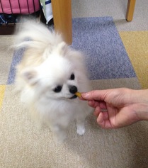 3.jpgのサムネール画像