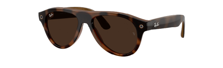 Wayfarer