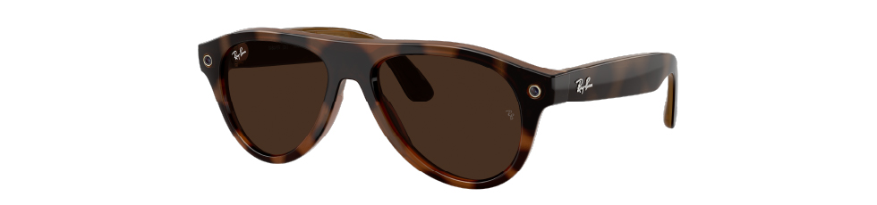 wayfarer