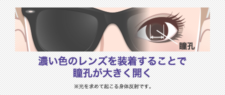 サングラスの機能と効果 メガネ専門店 和真 ワシン